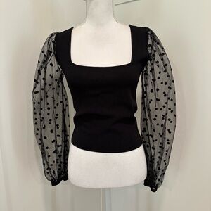 Lucy Paris Top Medium...Black Sheer Sleeves. Excellent Condition!